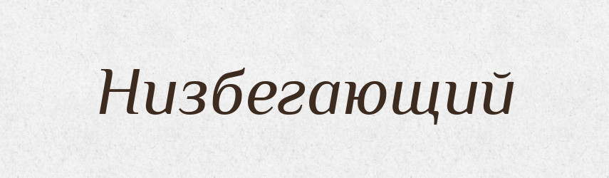 Низбегающий — Російсько-український академічний словник (А–П)
