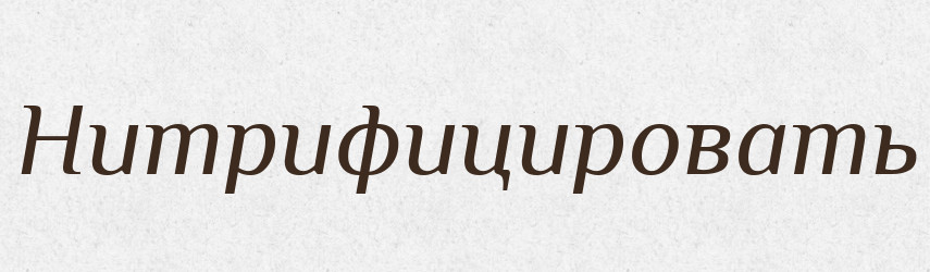 Нитрифицировать — Російсько-український академічний словник (А–П)