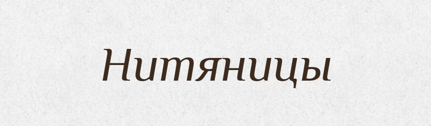 Нитяницы — Російсько-український академічний словник (А–П)