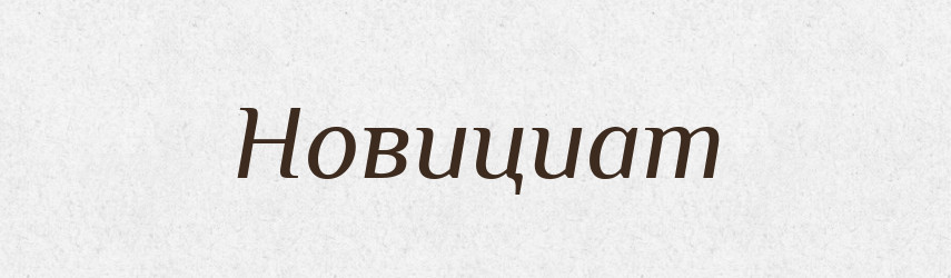 Новициат — Російсько-український академічний словник (А–П)