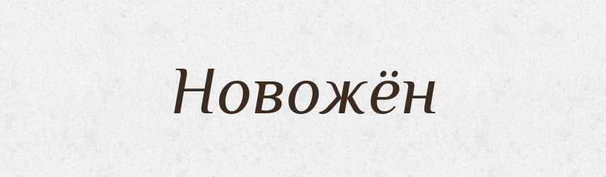 Новожён — Російсько-український академічний словник (А–П)
