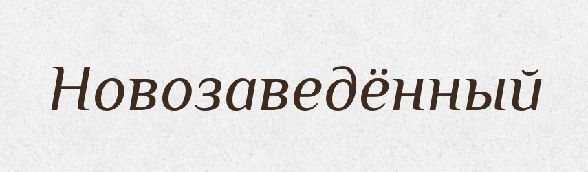 Новозаведённый — Російсько-український академічний словник (А–П)