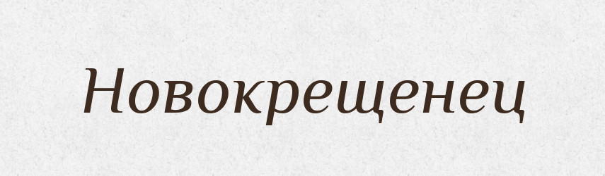 Новокрещенец — Російсько-український академічний словник (А–П)