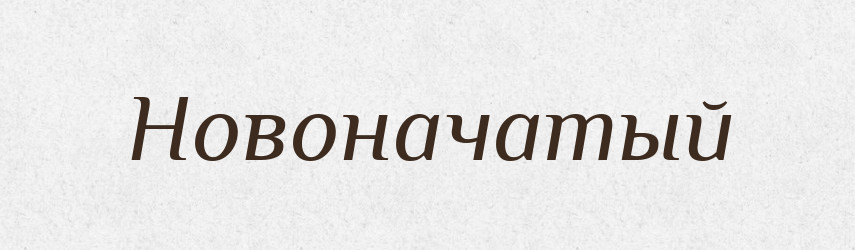 Новоначатый — Російсько-український академічний словник (А–П)
