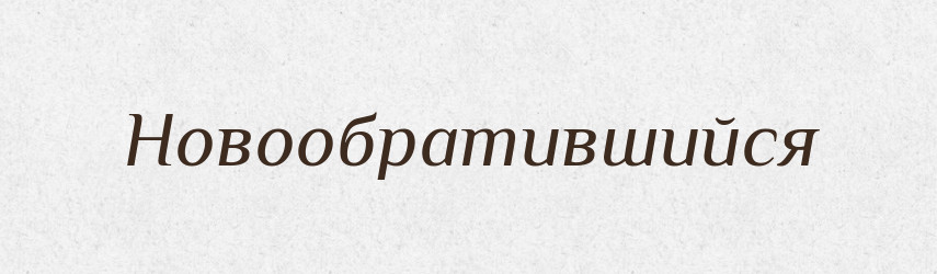 Новообратившийся — Російсько-український академічний словник (А–П)