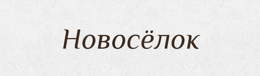 Новосёлок — Російсько-український академічний словник (А–П)