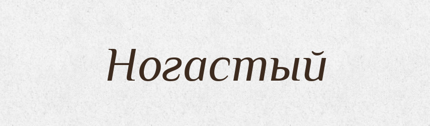 Ногастый — Російсько-український академічний словник (А–П)