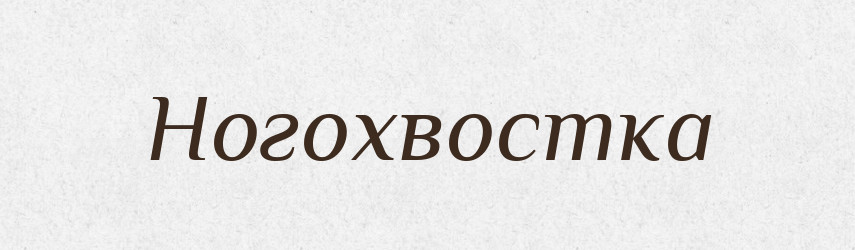 Ногохвостка — Російсько-український академічний словник (А–П)