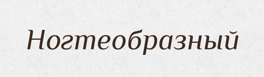 Ногтеобразный — Російсько-український академічний словник (А–П)