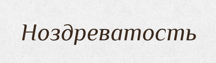 Ноздреватость — Російсько-український академічний словник (А–П)