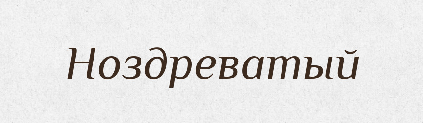 Ноздреватый — Російсько-український академічний словник (А–П)