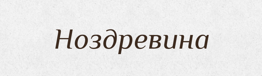 Ноздревина — Російсько-український академічний словник (А–П)