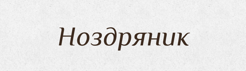 Ноздряник — Російсько-український академічний словник (А–П)