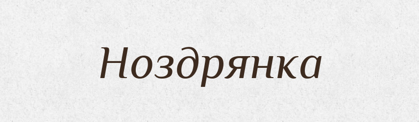Ноздрянка — Російсько-український академічний словник (А–П)