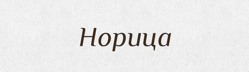 Норица — Російсько-український академічний словник (А–П)