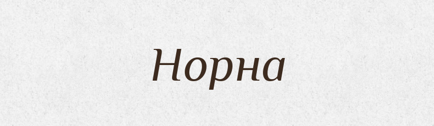 Норна — Російсько-український академічний словник (А–П)