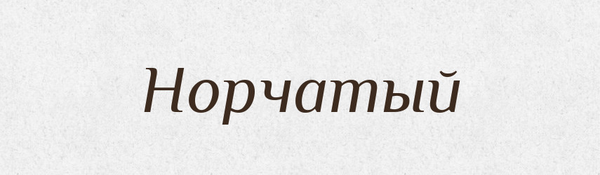 Норчатый — Російсько-український академічний словник (А–П)