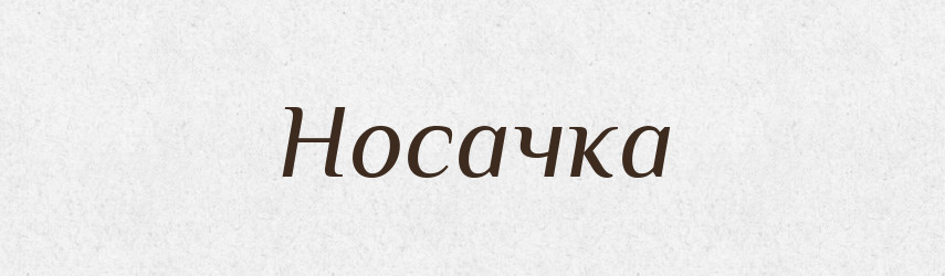 Носачка — Російсько-український академічний словник (А–П)