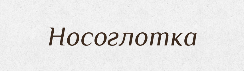 Носоглотка — Російсько-український академічний словник (А–П)