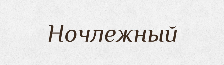 Ночлежный — Російсько-український академічний словник (А–П)