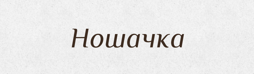 Ношачка — Російсько-український академічний словник (А–П)
