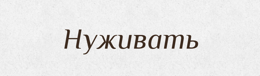 Нуживать — Російсько-український академічний словник (А–П)
