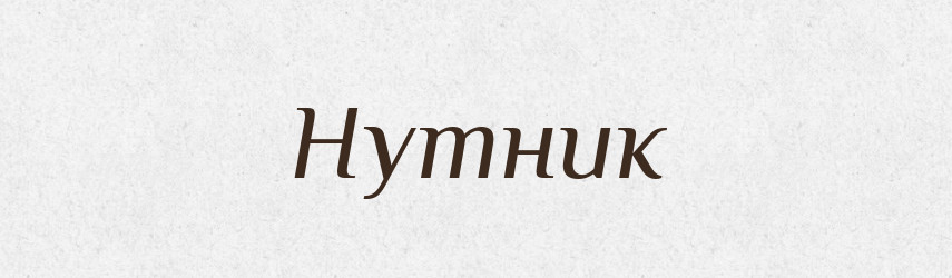 Нутник — Російсько-український академічний словник (А–П)