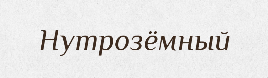 Нутрозёмный — Російсько-український академічний словник (А–П)