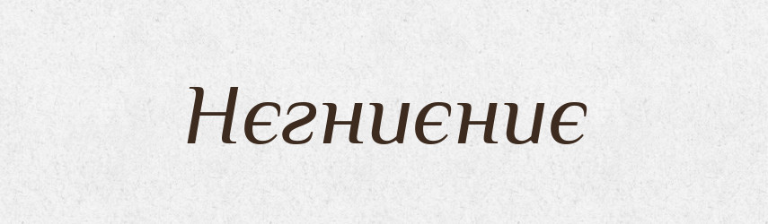 Нєгниєниє — Російсько-український академічний словник (А–П)