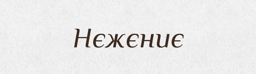 Нєжєниє — Російсько-український академічний словник (А–П)