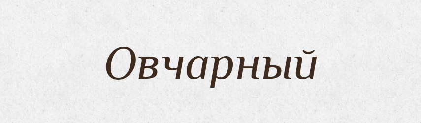 Овчарный — Російсько-український академічний словник (А–П)