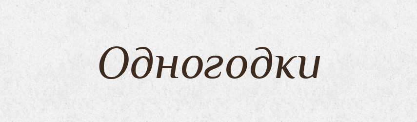 Одногодки — Російсько-український академічний словник (А–П)