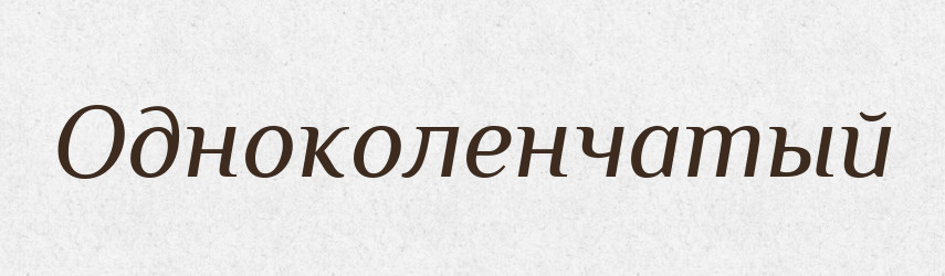 Одноколенчатый — Російсько-український академічний словник (А–П)