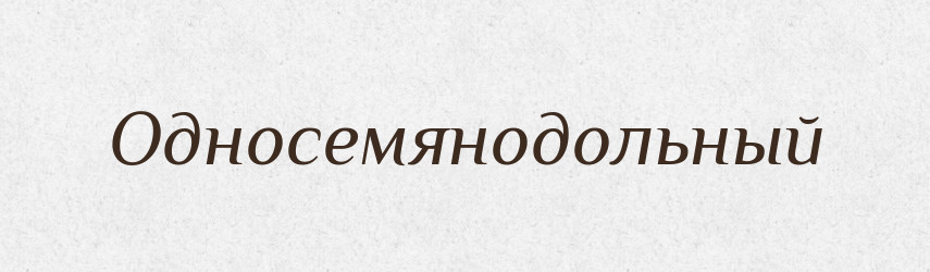 Односемянодольный — Російсько-український академічний словник (А–П)