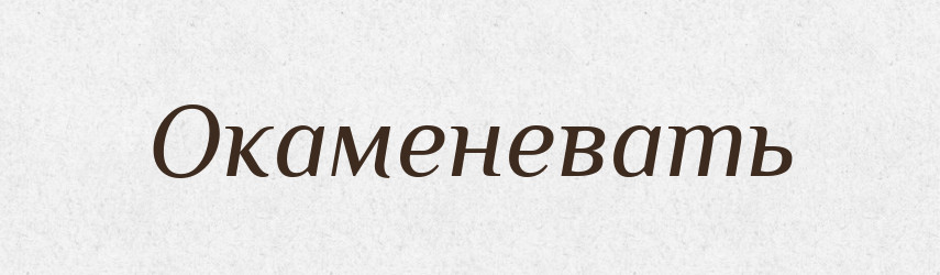 Окаменевать — Російсько-український академічний словник (А–П)