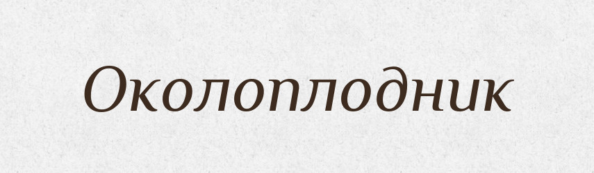 Околоплодник — Російсько-український академічний словник (А–П)