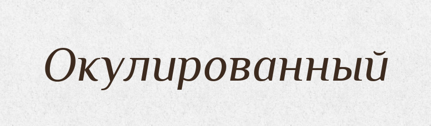 Окулированный — Російсько-український академічний словник (А–П)