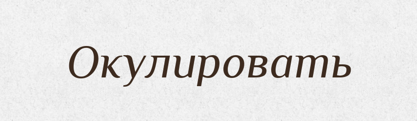 Окулировать — Російсько-український академічний словник (А–П)