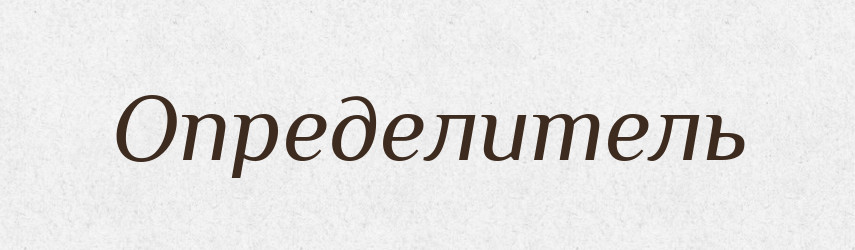Определитель — Російсько-український академічний словник (А–П)