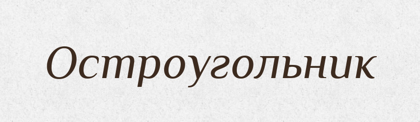 Остроугольник — Російсько-український академічний словник (А–П)
