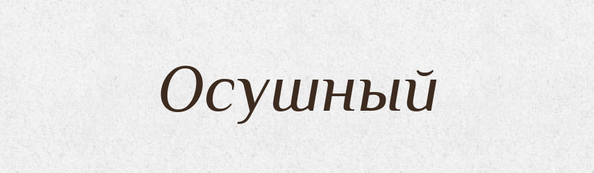 Осушный — Російсько-український академічний словник (А–П)