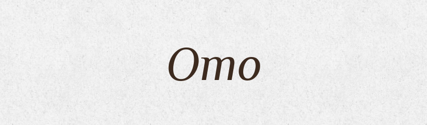 Ото — Російсько-український академічний словник (А–П)