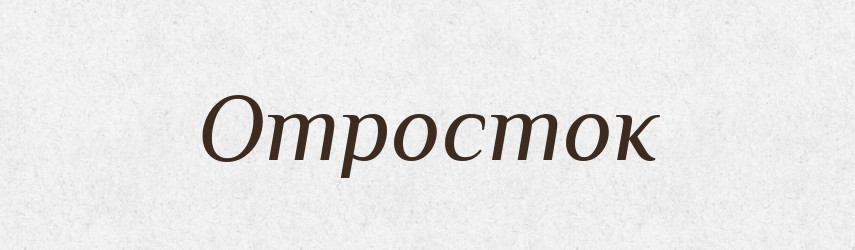Отросток — Російсько-український академічний словник (А–П)