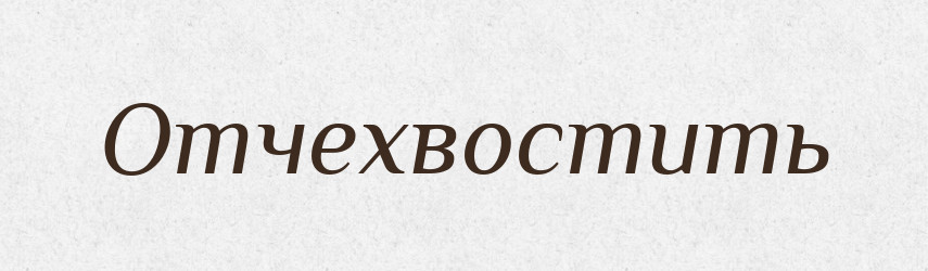 Отчехвостить — Російсько-український академічний словник (А–П)