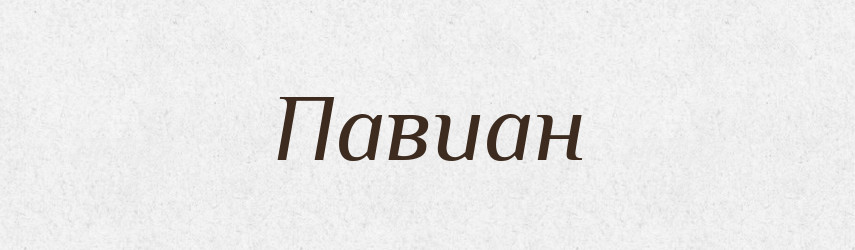 Павиан — Російсько-український академічний словник (А–П)