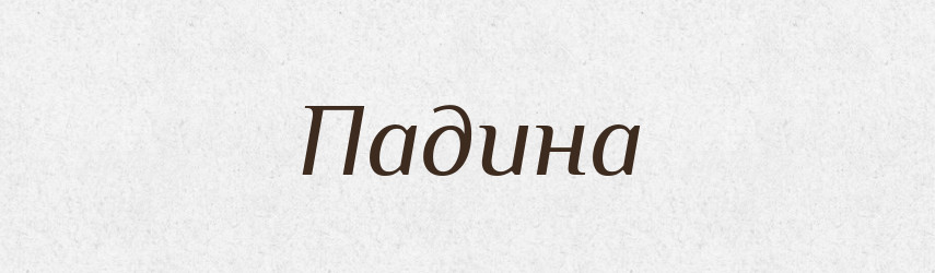 Падина — Російсько-український академічний словник (А–П)