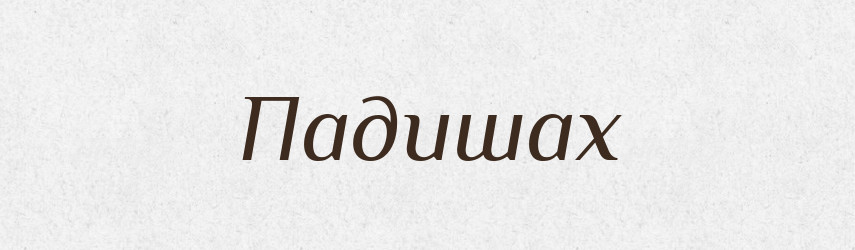 Падишах — Російсько-український академічний словник (А–П)