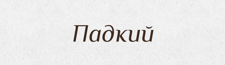 Падкий — Російсько-український академічний словник (А–П)