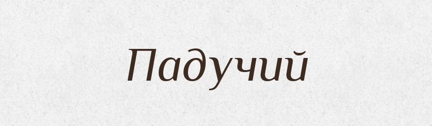Падучий — Російсько-український академічний словник (А–П)