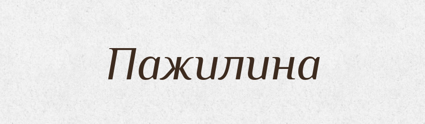 Пажилина — Російсько-український академічний словник (А–П)